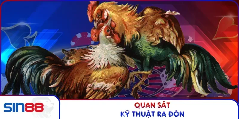 Đá Gà Tre - Chiến Thuật Hiệu Quả, Rinh Thưởng Khủng 2026 4 Quan sát kỹ thuật ra đòn