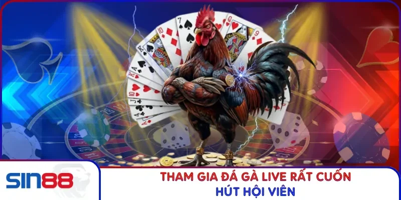Trang chủ 18 Tham gia đá gà live rất cuốn hút hội viên